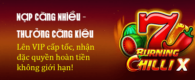 Experience Online Casino